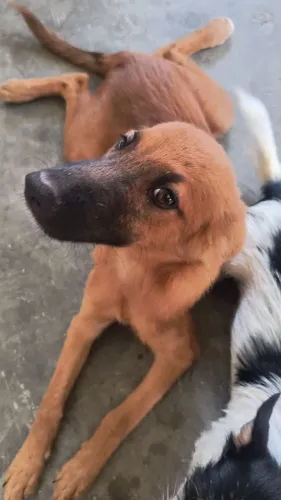 Doação