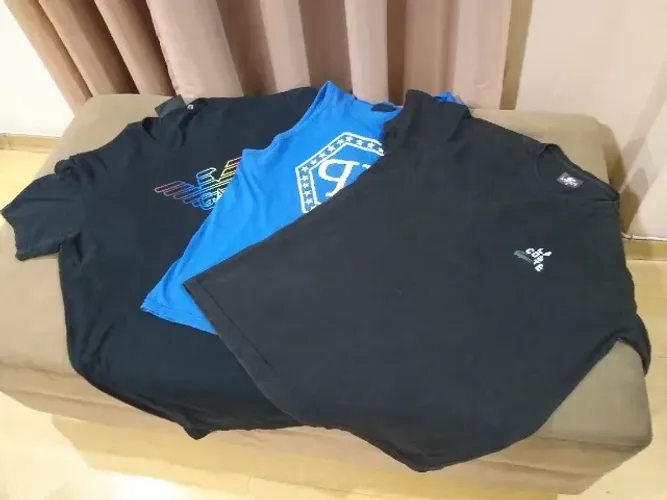 3 Camisas (Originais) Philip Pein / Lacoste / Empório Armani - TUDO por R$ 50