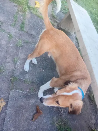 Doação 