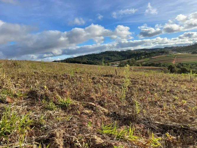 CAUCAIA EM FOCO