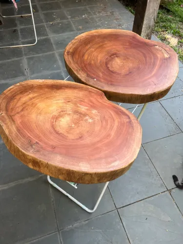 Linda bolacha em cedro