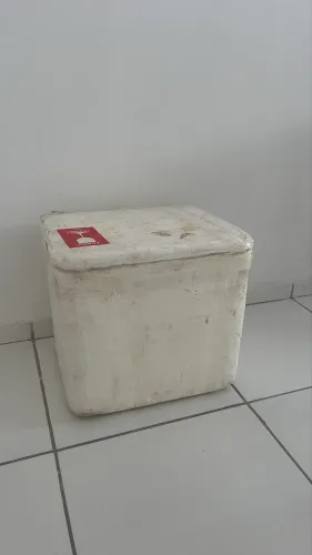 Caixa de isopor 70 L