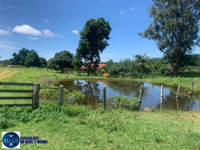 Fazenda à Venda em Formoso/GO | 375 alqueires | Alta Produtividade