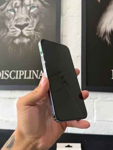 iPhone 13 Pro Max 256gb