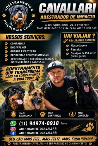 Adestrador de cães