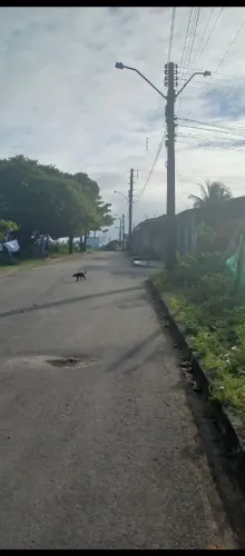 TERRENO EM RUA PÚBLICA