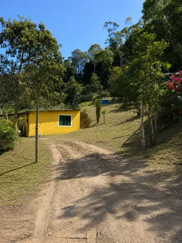 Roçada. Limpeza de piscina. Limpeza de quintal. Limpeza em caixa d'água. Poda em plantas.