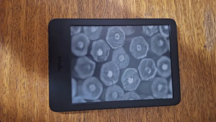 Kindle 11 geração, vai fazer um ano de uso dia 15 de julho