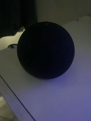 Echo dot