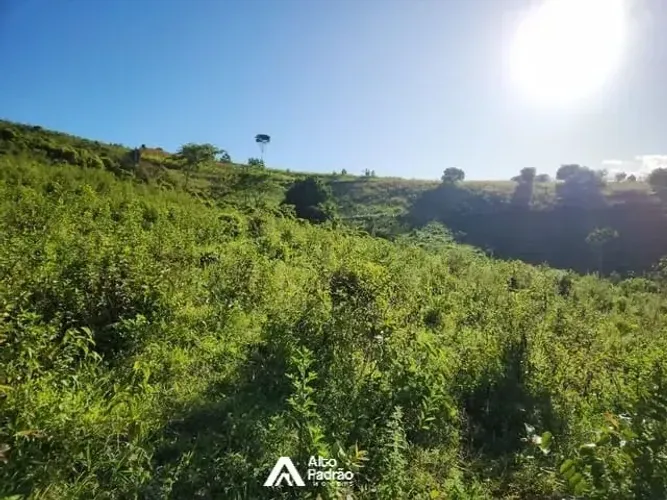 FAZENDA COM 72 HECTARES | Á VENDA | XEXÉU- PE