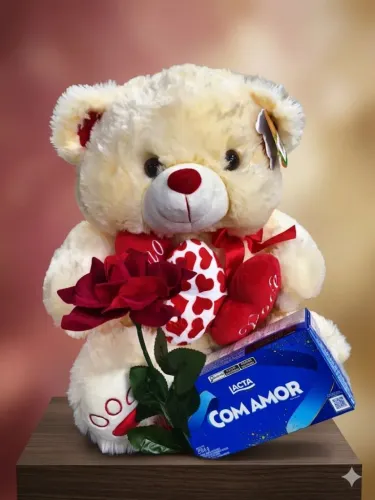 Urso ursinho pelúcia presente namorados kit 