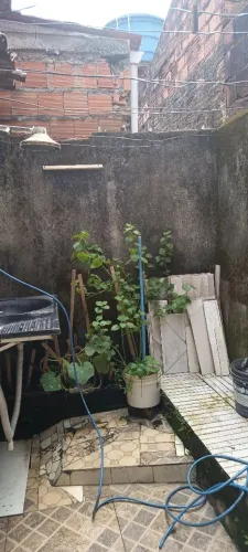 Vende se casa no Petrópolis