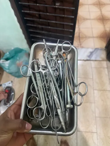kit de veterinário 