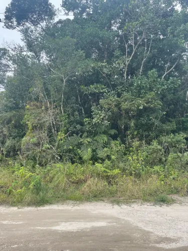  Terreno à Venda - Jardim Anchieta, Itanhaém/SP