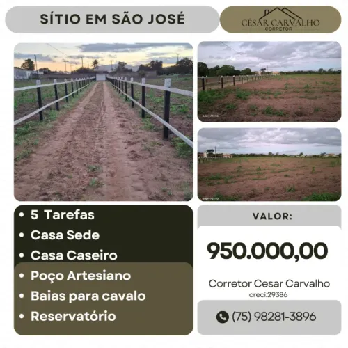 SÍTIO EM SÃO JOSÉ - 5 TAREFAS