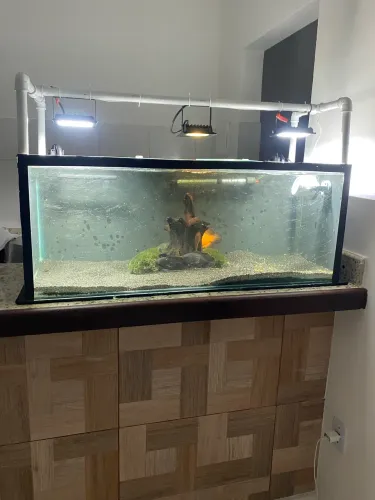 Aquário completo 