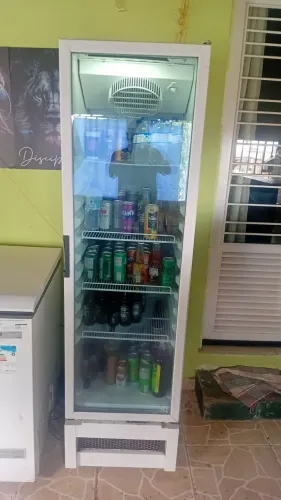 Freezer expositor vertical. 1 porta , metal frio , 303 litros. Valor 2.290 00