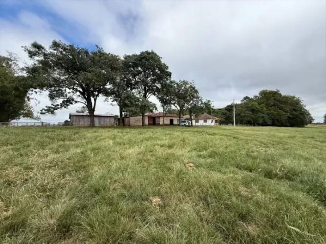 Fazenda pecuária e lavoura