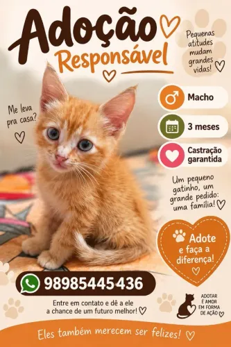 Doação do Garfield