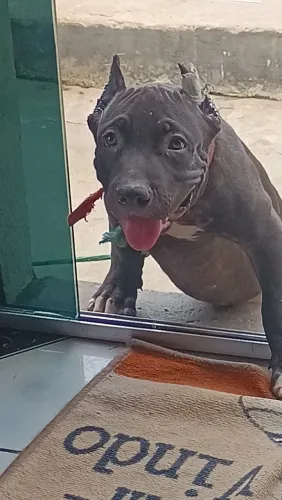 Vendo com urgência 