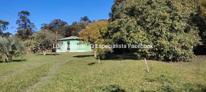 Lindo sítio com muita natureza em Itapuã!