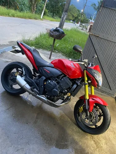Hornet 