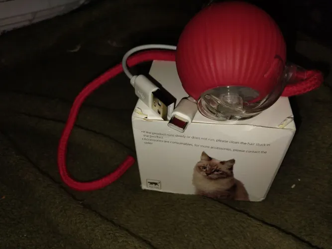 Brinquedo esportivo para cão e Gato