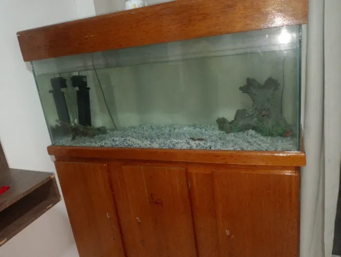 Aquário 300 litros 