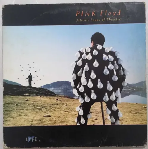 Disco de Vinil LP Pink Floyd Delicate Sound of Thunder (duplo)