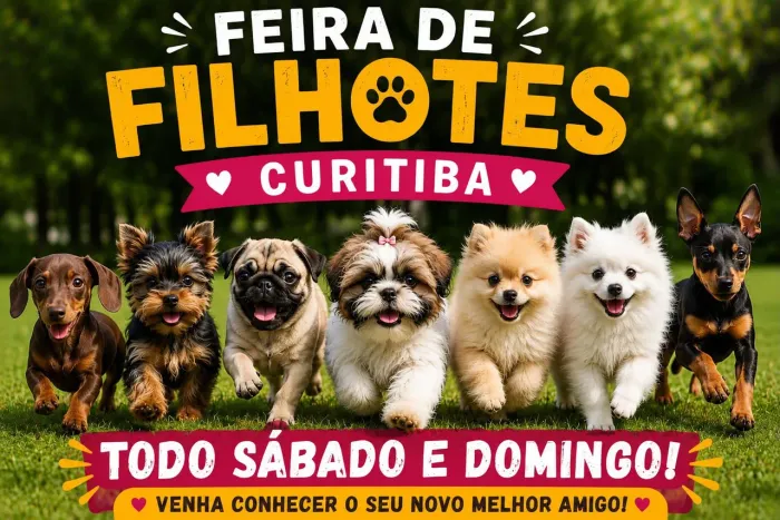 Feira de filhotes são jose