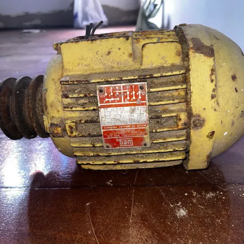 motor elétrico de indução trifásico WEG