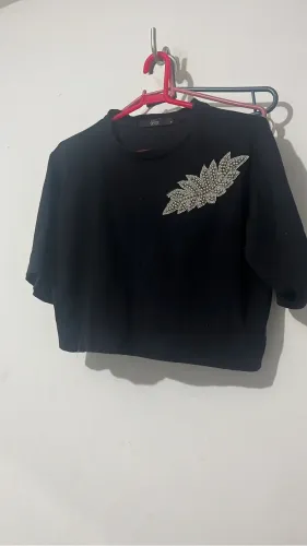 Cropped DELISE