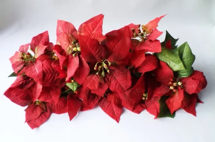 P/ Natal - Kit c/ 16 Flores Poinsettias Vermelhas em Tecido (Bico-de-Papagaio) - Usado