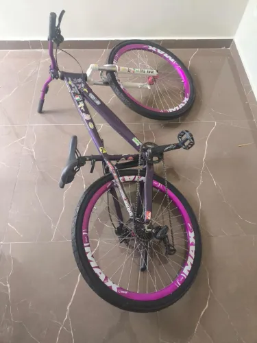 Bicicleta