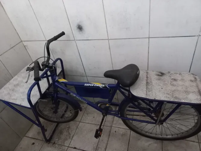 Bicicleta de carga