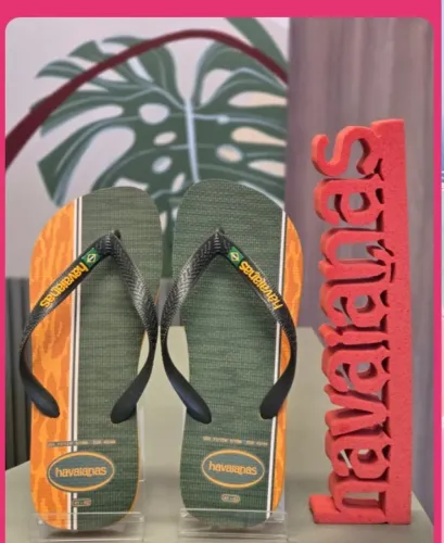 Chinelo Havaianas masculino 