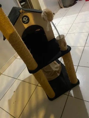 Casinha para Gato