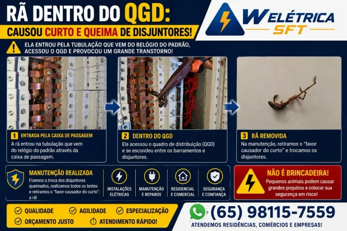 ELETRICISTA