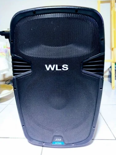 Caixa ativa WLS profissional