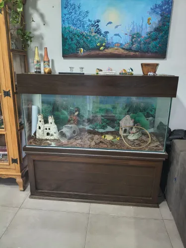 Aquário 250 litros