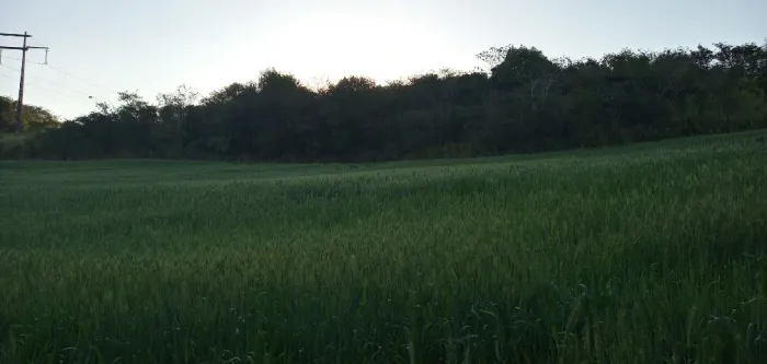 SÍTIO 7,5 ALQUEIRES