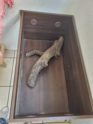 Terrario