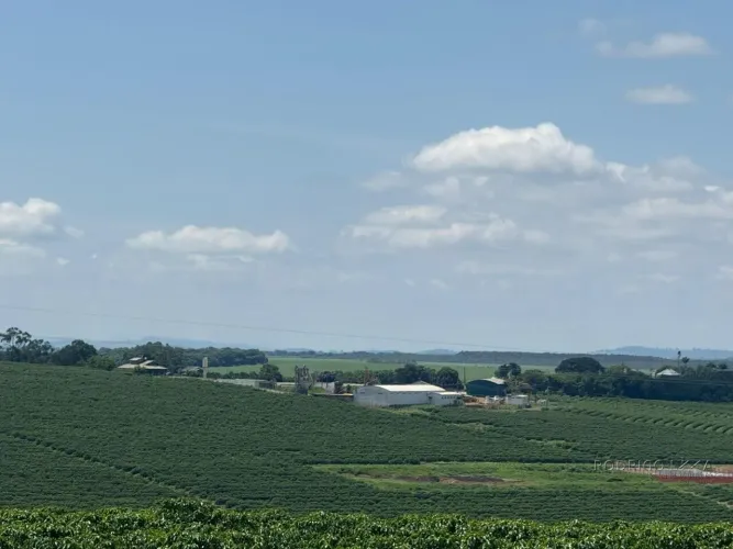 Fazenda para venda em Machado MG