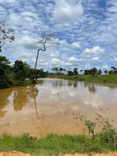 Colônia em Acrelândia