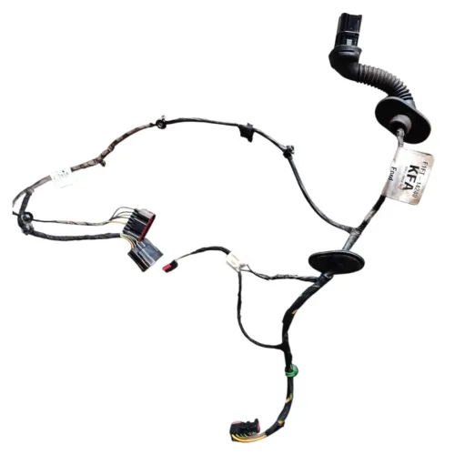 Chicote Porta Traseira Direira Ford Focus 2015 F1ft14240