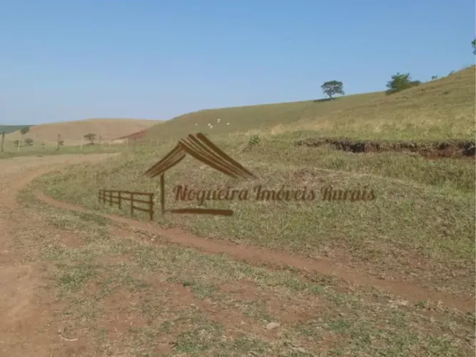 Fazenda a venda com 98,9 alqueires na região de Bandeirantes/PR