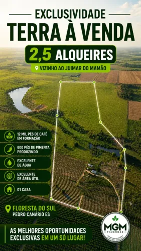 TERRA 2,5 ALQUEIRES 