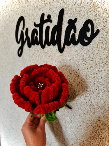 Peonias (Haste de Chenille)