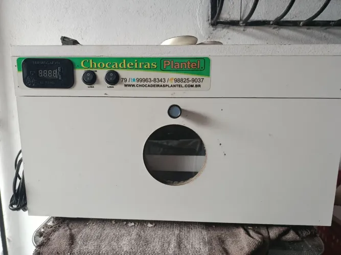 vendo chocadeira semi nova, usou só duas vezes.