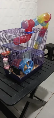 Gaiolas de Hamster bem conservadas